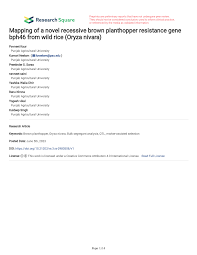 PDF) Mapping of a novel recessive brown planthopper resistance gene bph46  from wild rice (Oryza nivara)