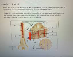 This is a free printable worksheet in pdf format and holds a printable version of the quiz long bone labeling. If You Are Seeing This Message That Means Javascript Has Been Disabled On Your Browser Please Enable Js To Make This App Work Please Enter A Question First Close Button Camera Button Send Button Loading Getting Image Please Wait Close Sidebar