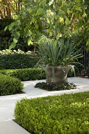 4 Sensational Types Of Urban Gardening Ideas In 2020 Urban Garden Garden Pots Garden Design