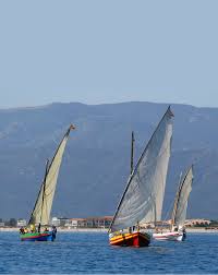 Barques Catalanes Plage Rodin Saint Pierre Voilier Barque