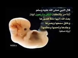 اليوم 42 من عمر الجنين Youtube