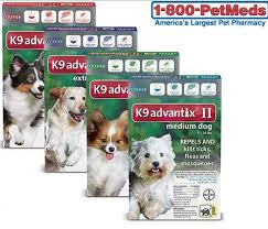 1800petmeds Coupon Code 25 Off 1800petmeds Is Splendid Store That Is Only Made For All Pets That Is The One And Onl Tick Control For Dogs Fleas Ticks On Dogs