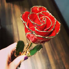 24k gold dipped rose, gold plated rose review, good choice for a gift. Roses Are Red Violets Are Blue Real Roses Eventually Die But 24k Roses Never Do Gold Dipped Rose Roses Are Red Violets Are Blue Planting Roses