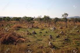 Hotels in angola punkten mit atemberaubender natur & luxus pur. Angola Landscapes Urban Rural And Nature Stock Photo Picture And Royalty Free Image Image 39928555