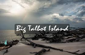 Sink your toes into jacksonville's sandy beaches. Big Talbot Island Florida Tourist Destination Beach Nature Wildlife