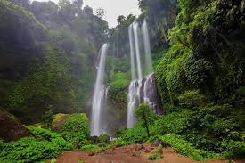 Air terjun sangat cocok dikunjungi bagi anda yang memiliki jiwa berpetualang, air terjun juga bisa memberikan sensasi berlibur yang berbeda dan menyenangkan. Sekumpul Wasserfall Air Terjun Sekumpul Aktivitaten 2021 Viator