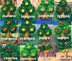 Pocket campon november 24, 2020. All Of The Fruit In Acnl Animalcrossingnewleaf