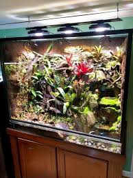 200 Gallon Custom Showroom Build Featuring Ecotech Marine Radion Leds By Vivariums In The Mist Reptile Terrarium Reptile Tank Reptile Room