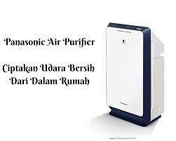 Mooiwatplantendoen.nl salah satu tanaman yang mampu membersihkan udara di dalam ruangan rumah yakni bunga lili. Panasonic Air Purifier Alat Pembersih Debu Dan Bakteri Di Rumah Curhat Larasati