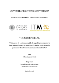 Asigurarea menţinerii salariilor personalului din instituții: Tesis Doctoral