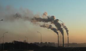 Gero to be created exclusively from synthetic technology. Yes The Pandemic Crushed Carbon Emissions Now They Re Back