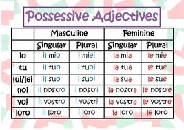 possessive adjectives poster worksheets teachers pay