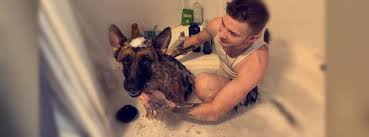 Isaiah Daniel Dewolf