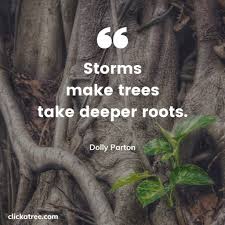 39 Best Tree Quotes About Life Business And Love Bonus Video Words quotes me quotes motivational quotes inspirational quotes mentor quotes funny quotes great quotes quotes to live by. 39 best tree quotes about life