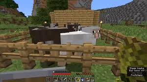 Cows in minecraft are a peaceful mob found in any biome that has grass blocks. Minecraft For Beginners