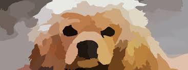 We did not find results for: Uk Dog Groomers Directory Find Mobile Dog Groomers Near You