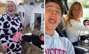 19 Tik Tok Videos That You Will Watch Over And Over See more ideas about tok, cute boys, dance videos.