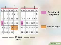How To Determine Your Most Fertile Day To Conceive: 7 Steps