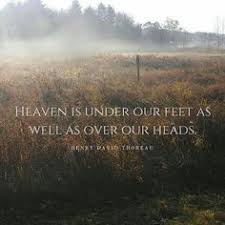 We can never have enough of nature. 6. 13 Walden Ideas Thoreau Quotes Thoreau Walden
