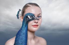 Fishing Boats at Puvar, Kerala