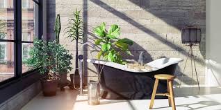 deze 9 planten overleven in elke badkamer badkamer planten lichte badkamer badkamer