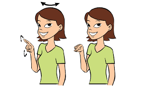 Asking a yes/no question in asl. No Baby Sign Language