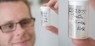 Unlocking the secrets of amber time capsules