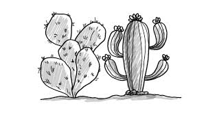 Maybe you would like to learn more about one of these? How To Draw Cactus Plants Easy Drawing Youtube