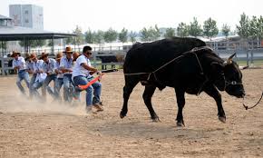 「http://cleptestreview.com/node/ ransom」的圖片搜尋結果