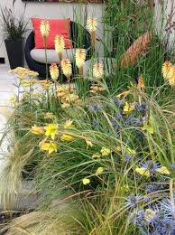 Edinburgh And East Lothian Garden Design Hampton Court Flower Show Garden Show