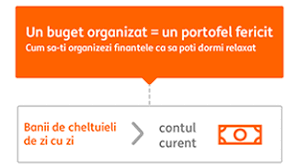 De cateva luni ma tot pistoneaza telefonic o domnisoara de la ing ca. Conturi De Economii Ing Zero Costuri Si Comisioane Ing Economii