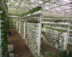 China Commercial Soilless Cultivation Nft Hydroponic System Kinds Of Hydroponic Equipment China Hydroponics Hydroponic System