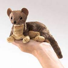 Pin On Dook Like A Ferret