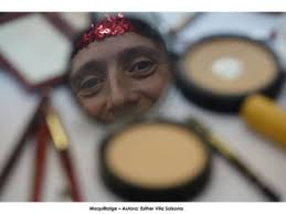 Categories paisatge, fauna i flora, patrimoni i societat de la Vall de  Camprodon