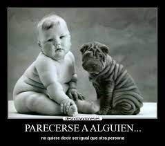 Resultado de imagen para SIMILITUDES