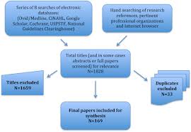 Rethinking The Well Woman Visit A Scoping Review To Identify Eight Priority Areas For Well Woman Care In The Era Of The Affordable Care Act Women S Health Issues