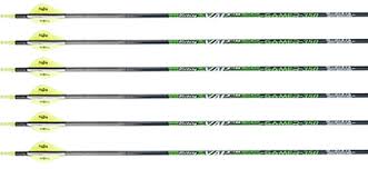 Victory Vap Gamer Arrows 400 Factory Fletched With Blazer