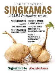 In the philippines, singkamas is usually eaten raw with white rock salt. Singkamas Benifits Herbal Tips For Healthy Life Style Facebook