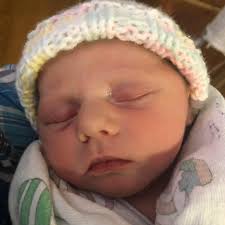 The life of Ivory Bauer