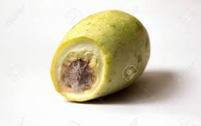How to tell a zucchini has gone bad. Spoiled Zucchini Isolated On A White Background Mold On The Stock Photo Picture And Royalty Free Image Image 144271018