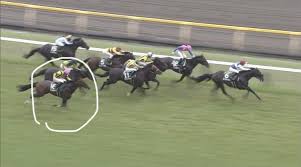 【マーメイドステークス2021】 出走予定馬・想定オッズ・想定騎手・全頭評価・レース傾向 （有力馬次走情報を含む） ここではマーメイドステークス2021の出走予定馬・想定オッズ・全頭評価・レース傾向 などについてお話をしていきます。 Sra5re0ji8qumm