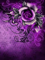 Black And Purple Roses Purple Purple Art Purple Roses Purple Flowers