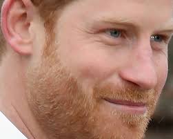 But are they actually different people? Quiz Can You Tell Which One Is Prince Harry Or Carson Wentz Sbnation Com