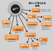 写真 図版 筋トレ 1日10分 週3日で効果あり 40歳以上こそオススメなワケ aera aera dot アエラドット 健康 筋トレ 筋肉質 ダイエット
