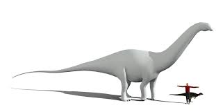 Brontosaurus Louisae Model 2 15 18 By Paleop Brontosaurus Ancient Animals Prehistoric Creatures