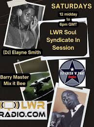 254 LWR Soul Syndicate in session sat 28th dec 2024 pt1 Elayne FT