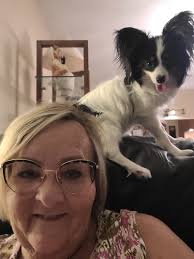 Does a dog have to stay inside a travel kennel at the airport while waiting  to board?