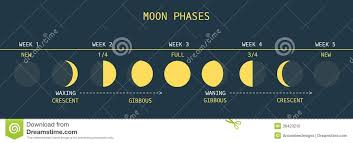 moon phases stock vector illustration of cosmos satellite