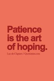 Patience Is The Art Of Hoping