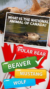 Many were content with the life they lived and items they had, while others were attempting to construct boats to. Canadian Trivia Questions And Answers For Android Apk Download